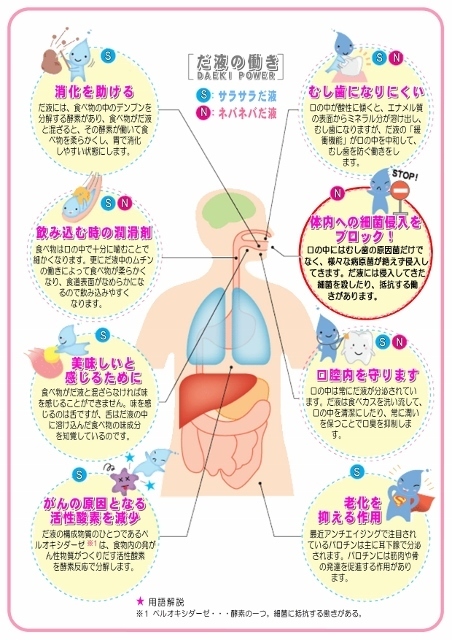 だ液の働き-07 (452x640).jpg