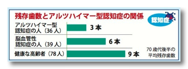 残存歯と認知症の関係.jpg