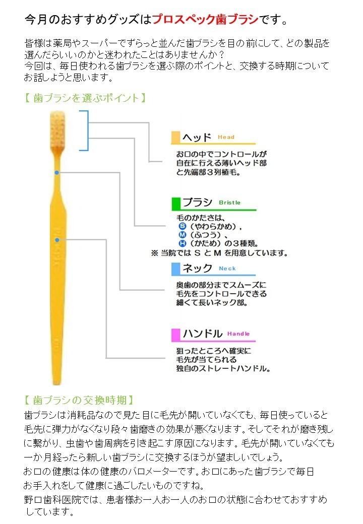 オススメグッズ（プロスペック歯ブラシ）.jpg