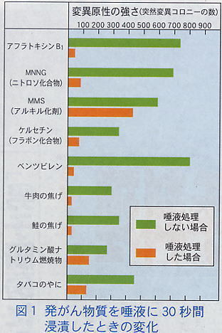 唾液と発がん物質.jpg