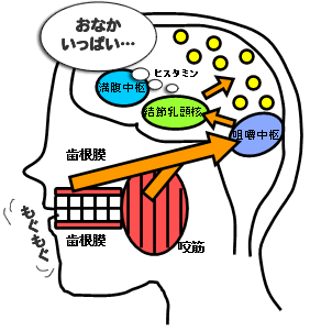 満腹感.gif