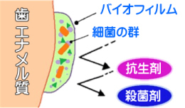 バイオフィルム図１.jpg