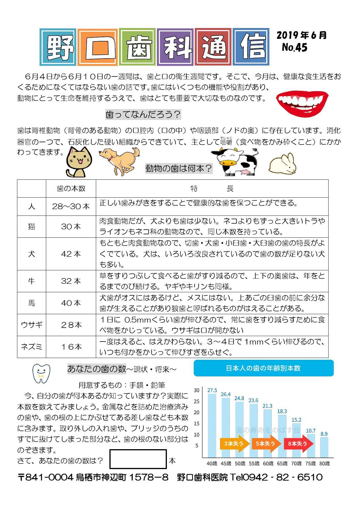 院内新聞2019年6月号.jpg